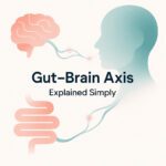 Gut-Brain Axis Explained Simply