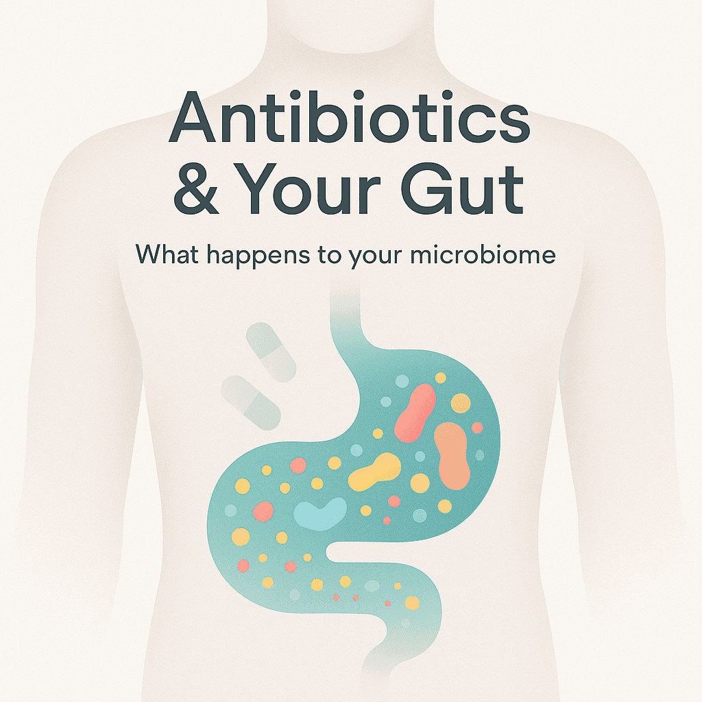 How Antibiotics Affect Your Gut