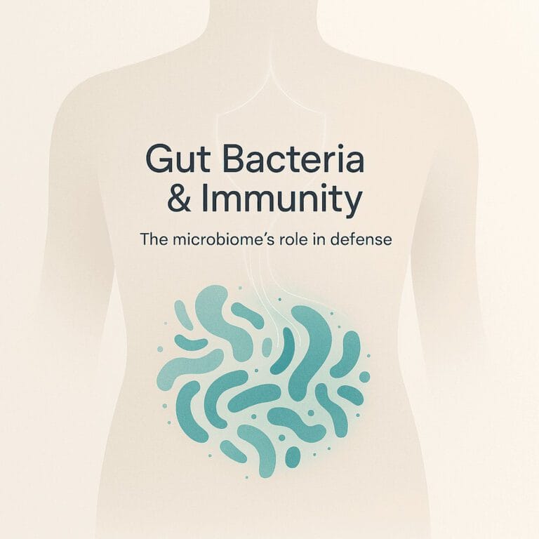 How Gut Bacteria Affect Immunity How Gut Bacteria Affect Immunity
