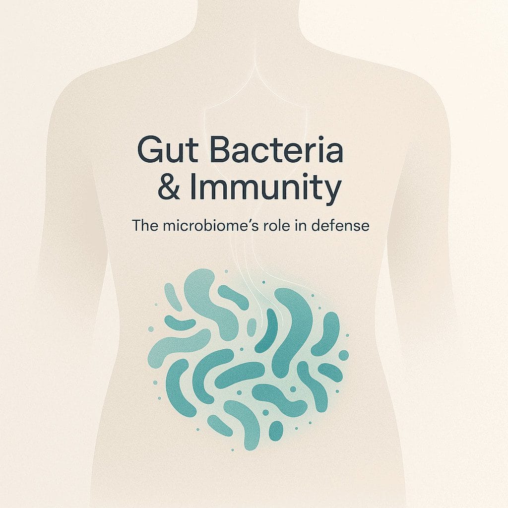 How Gut Bacteria Affect Immunity